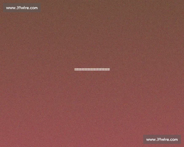 决胜之巅真人秀定档！他们将如何面对镜头下的压力